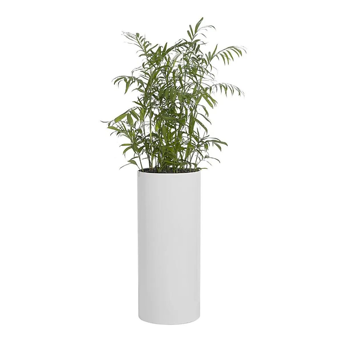 Round Solid 32cm Liner - Additional View 5