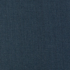 Royal Blue Colour