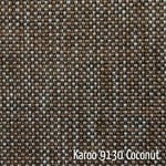 Coconut Colour