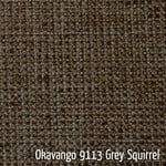 Grey Squirrel Colour