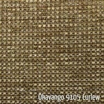 Curlew Colour