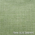 Spearmint Colour