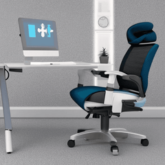 Ergonomics 101: Key Components for Your Ideal Office Chair