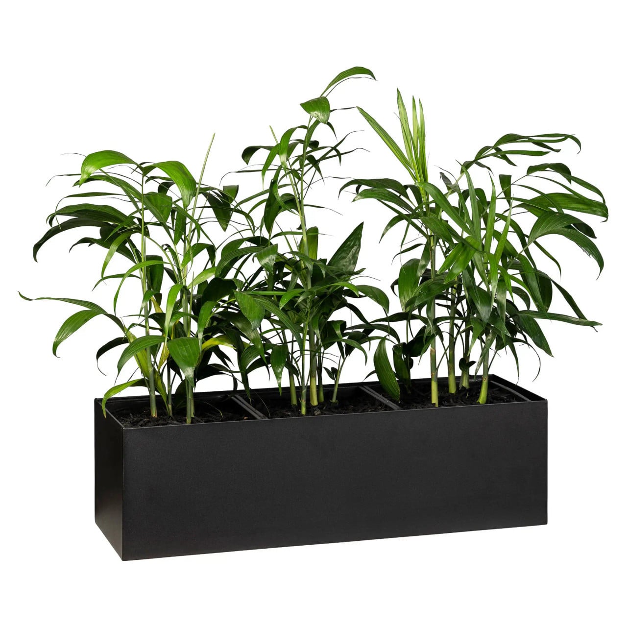 Cabinet Trough Planter Small | Office Accessories | Office Stock