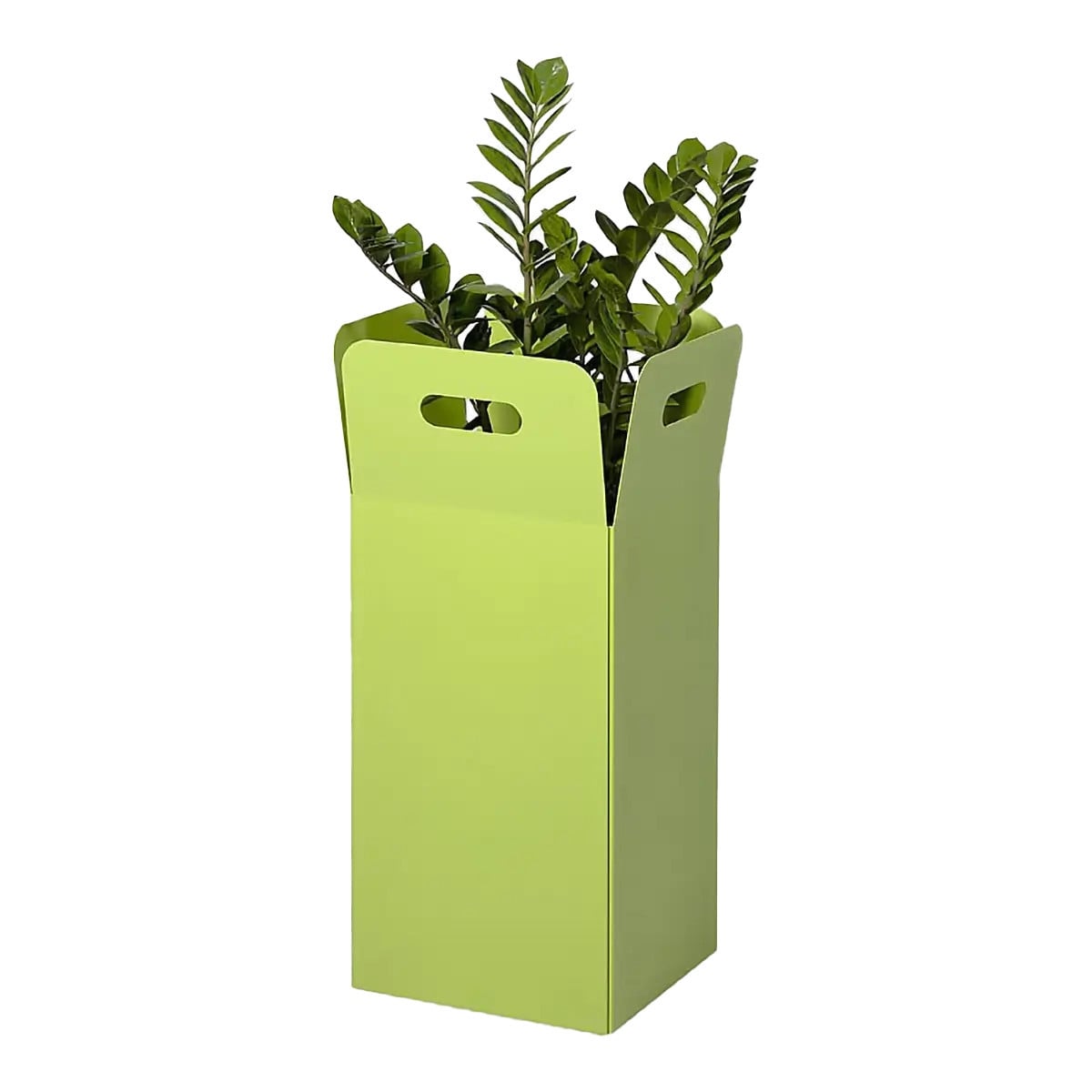 Out the Box Planter