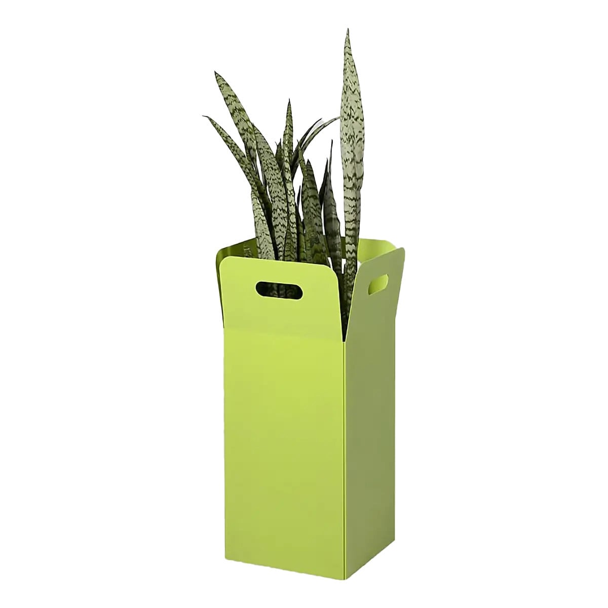 Out the Box Planter