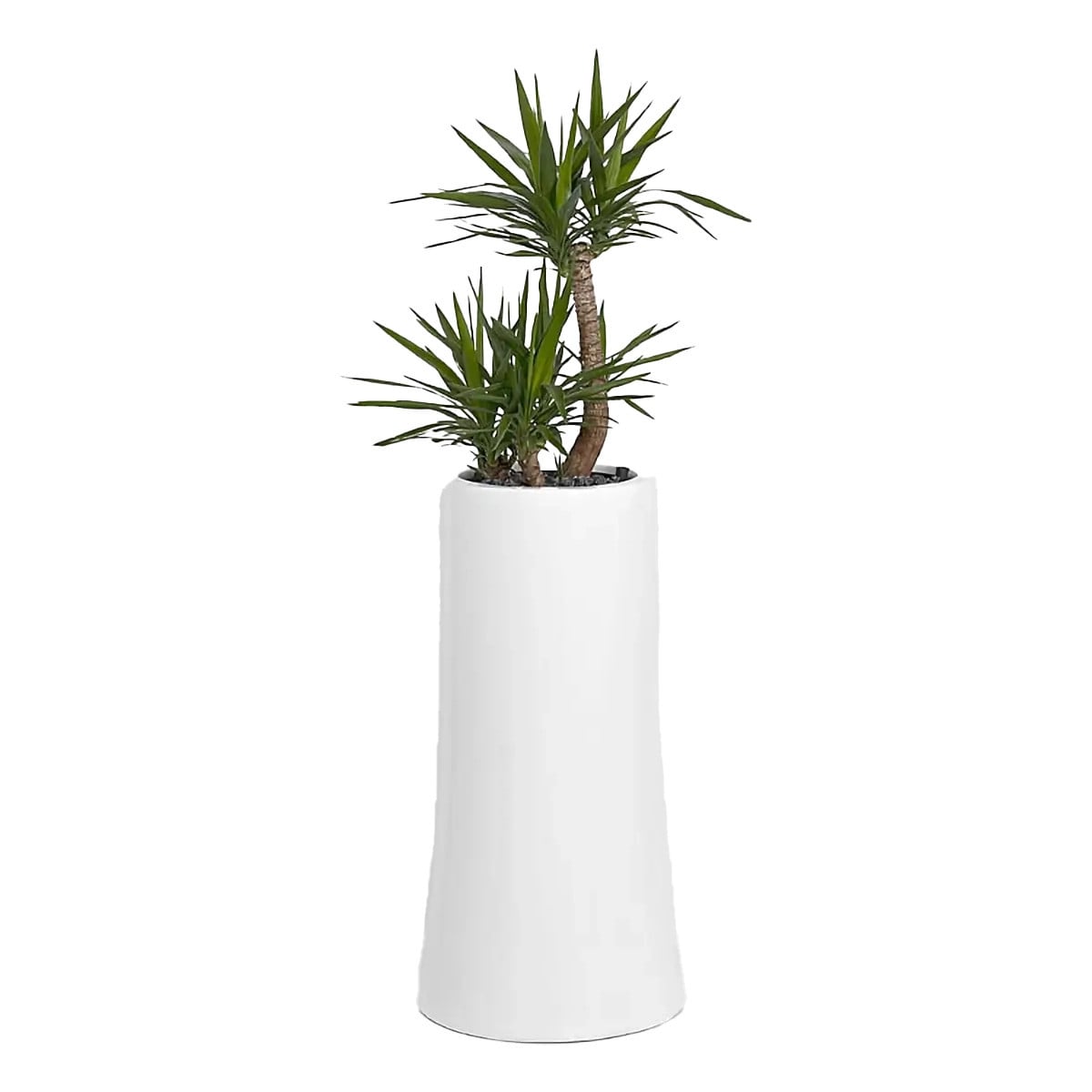 Nurture Planter 32 cm Liner | Office Accessories | Office Stock