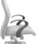 Y100 Flamingo Arm