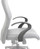 Y100 Flamingo Arm