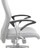 Y600 Chromed Arm