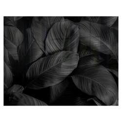 Feathers Hob Splashback (898 X 700 X 6mm) SB9070BF, image of a black and white feather design with detailed feather patterns.