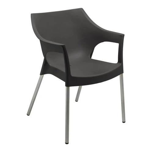 Harvest Black Indoor & Outdorr Dining Chair