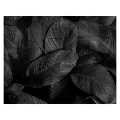 Decorative Glass Wall Tile (898 x 700 X 6mm) Feathers