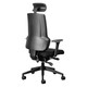 Ortho-Max High-back Chair, ergonomic office chair with adjustable headrest, black mesh backrest, cushioned seat, and five-wheel base.