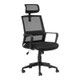 Cindy High-Back Office Chair