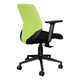 Coral Operators Office Chair SAC-OCH-COR, ergonomic black office chair with adjustable armrests and a mesh backrest. (Green Mesh) Coral Operators Office Chair SAC-OCH-COR, ergonomic black office chair with adjustable armrests and a mesh backrest. (Green Mesh)