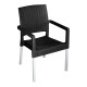 Ruby Black Indoor & Outdoor Dining Chair