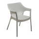 Harvest White Indoor & Outdoor Dining Chair