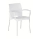 CafeStyle White Indoor & Outdoor Dining Chair