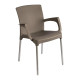Gather Cappuccino Indoor & Outdoor Dining Chair