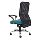 Lisa Mesh High-back Office Chair by 67, Featuring a Black Mesh Back, Teal Seat, and Silver Base with Black Wheels, Showcasing Ergonomic Design and Comfort, a Perfect Mesh Back Chair for Workspace Environments.