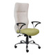 Nikki High-back Chair, ergonomic office chair with beige mesh backrest and green cushioned seat, adjustable armrests, and a chrome base with caster wheels.