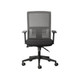 Backlogic Ergonomic Office Chair