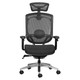 Alya Mesh High-back Office Chair, ergonomic black mesh office chair with adjustable armrests, lumbar support, and a high back design.