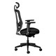 Ergocurve Mesh High-Back Office Chair Ergocurve Mesh High-Back Office Chair