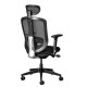 Ergocurve Mesh High-Back Office Chair Ergocurve Mesh High-Back Office Chair