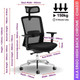 Aila Ergo Theraphy High-back Chair