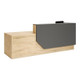 Jess Reception Counter (Front View)