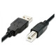 USB 2.0 AM To BM Cromo Cable 2 Meters, black and white connectors with a 2-meter length for connecting devices.