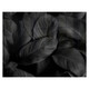 Decorative Glass Wall Tile (898 x 700 X 6mm) Feathers