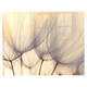 Decorative Glass Wall Tile (898 x 700 X 6mm) Dandelion Floret