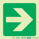 Photoluminescent 190MM Safety Sign - E21-Arrow Right Photoluminescent 190MM Safety Sign - E21-Arrow Right
