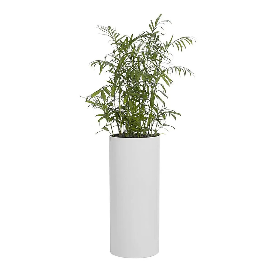 Round Solid 32cm Liner - Additional View 5