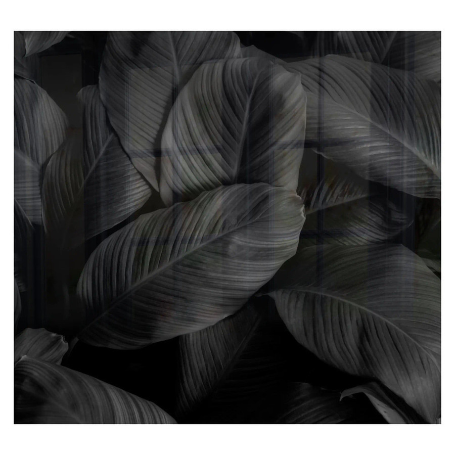 Feathers Hob Splashback (598 X 650 X 6mm) SB6065BF, image of dark feathered leaves with intricate texture and striped pattern.