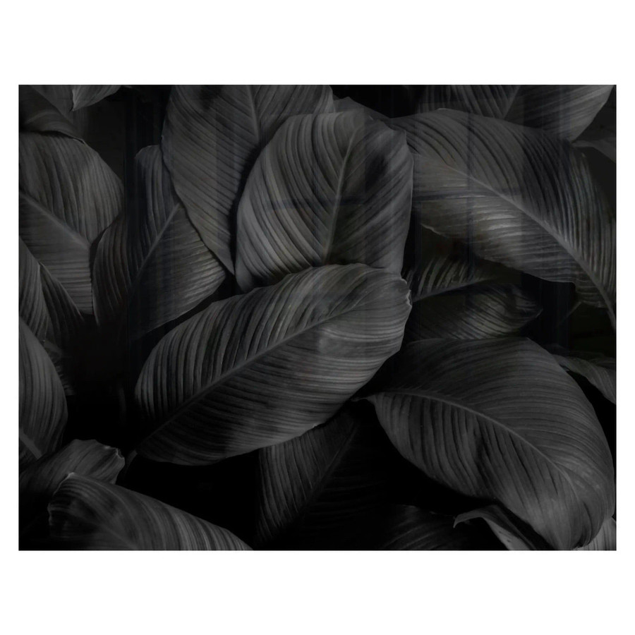 Decorative Glass Wall Tile (898 x 700 X 6mm) Feathers