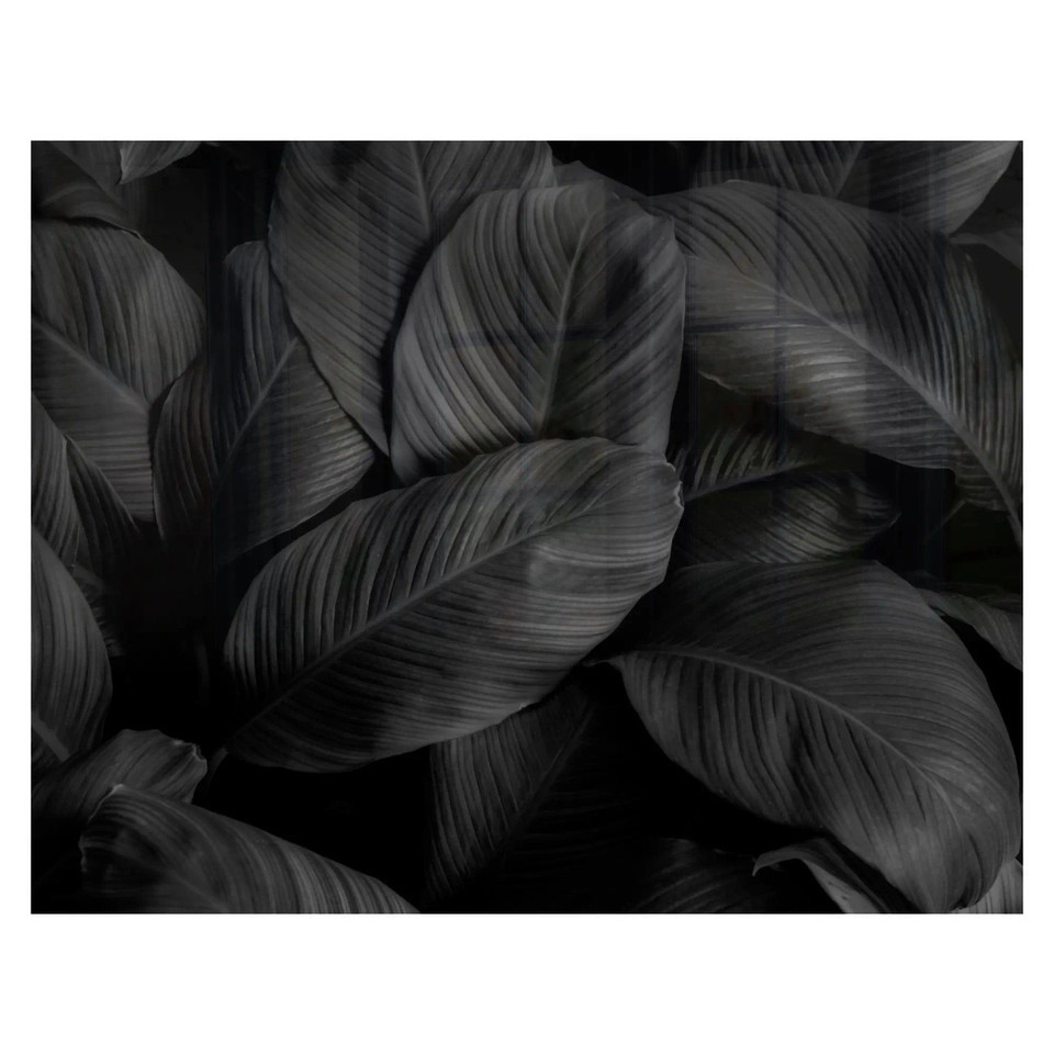 Decorative Glass Wall Tile (898 x 700 X 6mm) Feathers