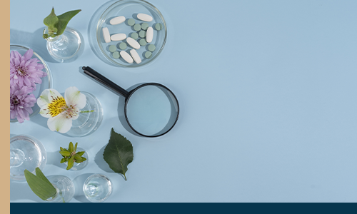 servicio de fitoterapia