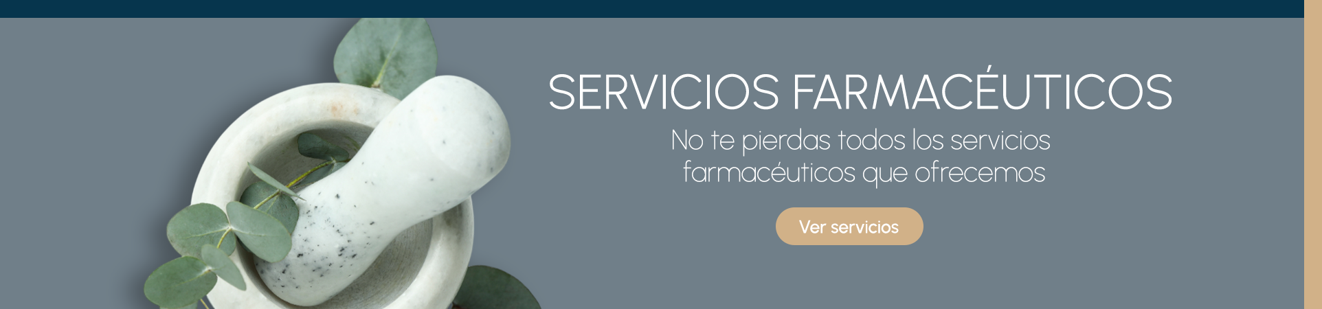 imagen slider servicios