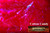 M00100 MOREZMORE Angelina Fantasy Film COTTON CANDY PINK 10' Wings