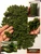 M00257 MOREZMORE Faux Fake Artificial Moss MARSH Foliage Light Green
