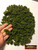 M00257 MOREZMORE Faux Fake Artificial Moss MARSH Foliage Light Green