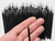 M00264x2 MOREZMORE Lot 50 Fine Eyeliner Cosmetic Brush Disposable Mini Liner