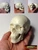 M00428 MOREZMORE Realistic Human Mini Skull 10 cm Art Sculpture Doll Anatomy