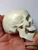M00428 MOREZMORE Realistic Human Mini Skull 10 cm Art Sculpture Doll Anatomy