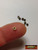 M00699-Bronze MOREZMORE 10 Metal 3mm Miniature Buttons 1:6 Scale Mini Doll