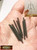 M01081 MOREZMORE HPA 10pcs M2 30 mm All Thread Rod Threaded M2*30 M2x30